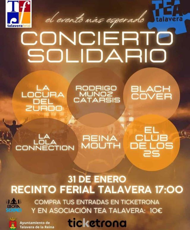 Grupos talaveranos unidos en un concierto solidario a favor de TEA Grupos talaveranos unidos en un concierto solidario a favor de TEA