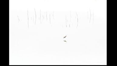 Vuelo rasante - Eduardo Hern&aacute;ndez de Haro