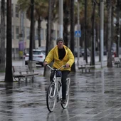 Temporal Granada Temporal Granada
