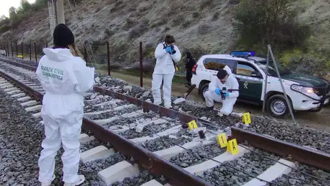 Expertos de la Guardia Civil analizan las vías tras el accidente ferroviario registrado en Adamuz. Expertos de la Guardia Civil analizan las vías tras el accidente ferroviario registrado en Adamuz.