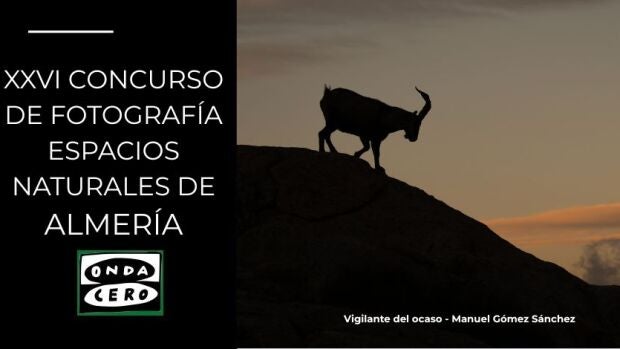 Concurso de Fotografía de Onda Cero