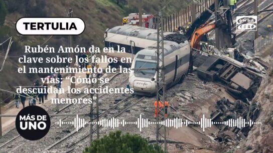 Rub&eacute;n Am&oacute;n da en la clave sobre los fallos en el mantenimiento de las v&iacute;as: "C&oacute;mo se descuidan los accidentes menores"