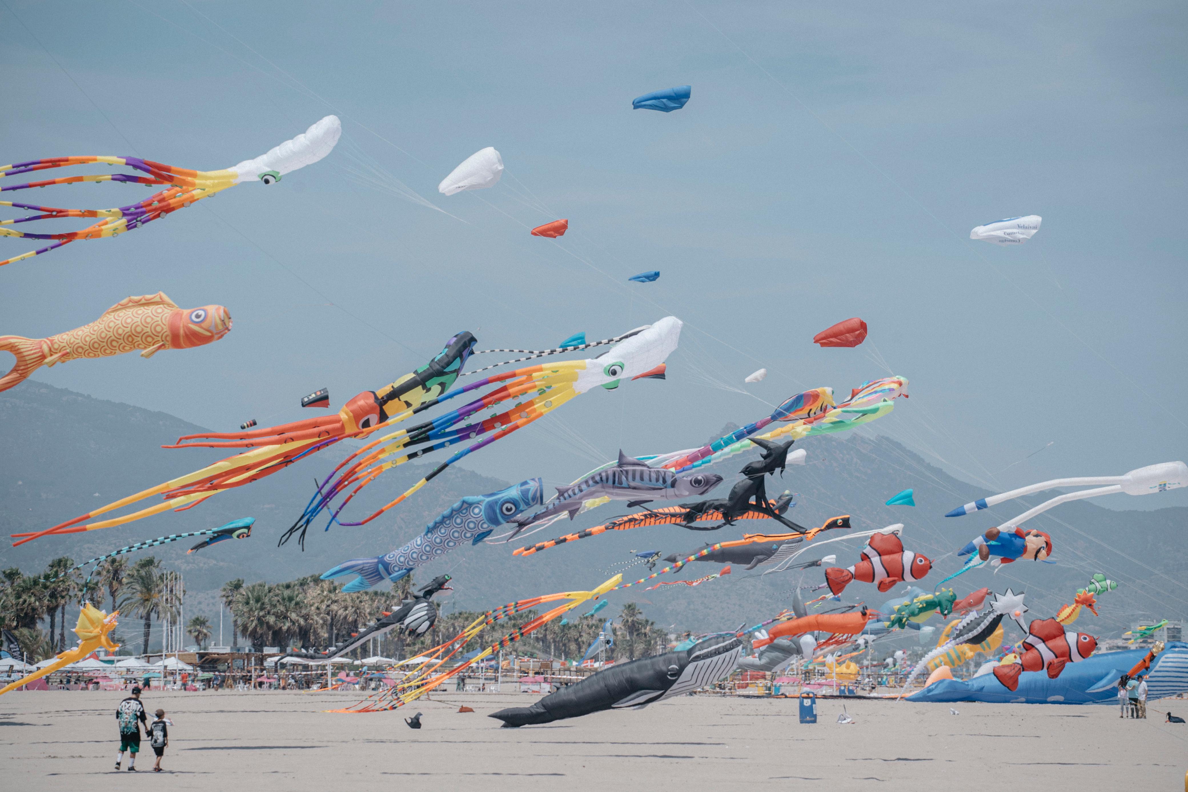 Festival del viento de Castelló Festival del viento de Castelló