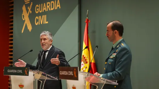 El ministro del Interior, Fernando Grande-Marlaska, en una rueda de prensa para dar explicaciones sobre el accidente en Adamuz. El ministro del Interior, Fernando Grande-Marlaska, en una rueda de prensa para dar explicaciones sobre el accidente en Adamuz.