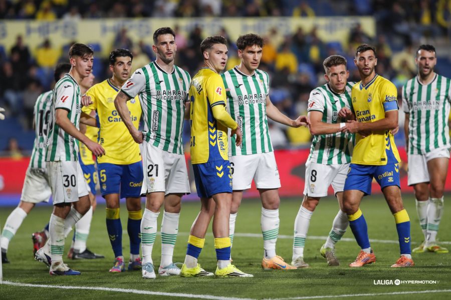 El ecosistema El ecosistema