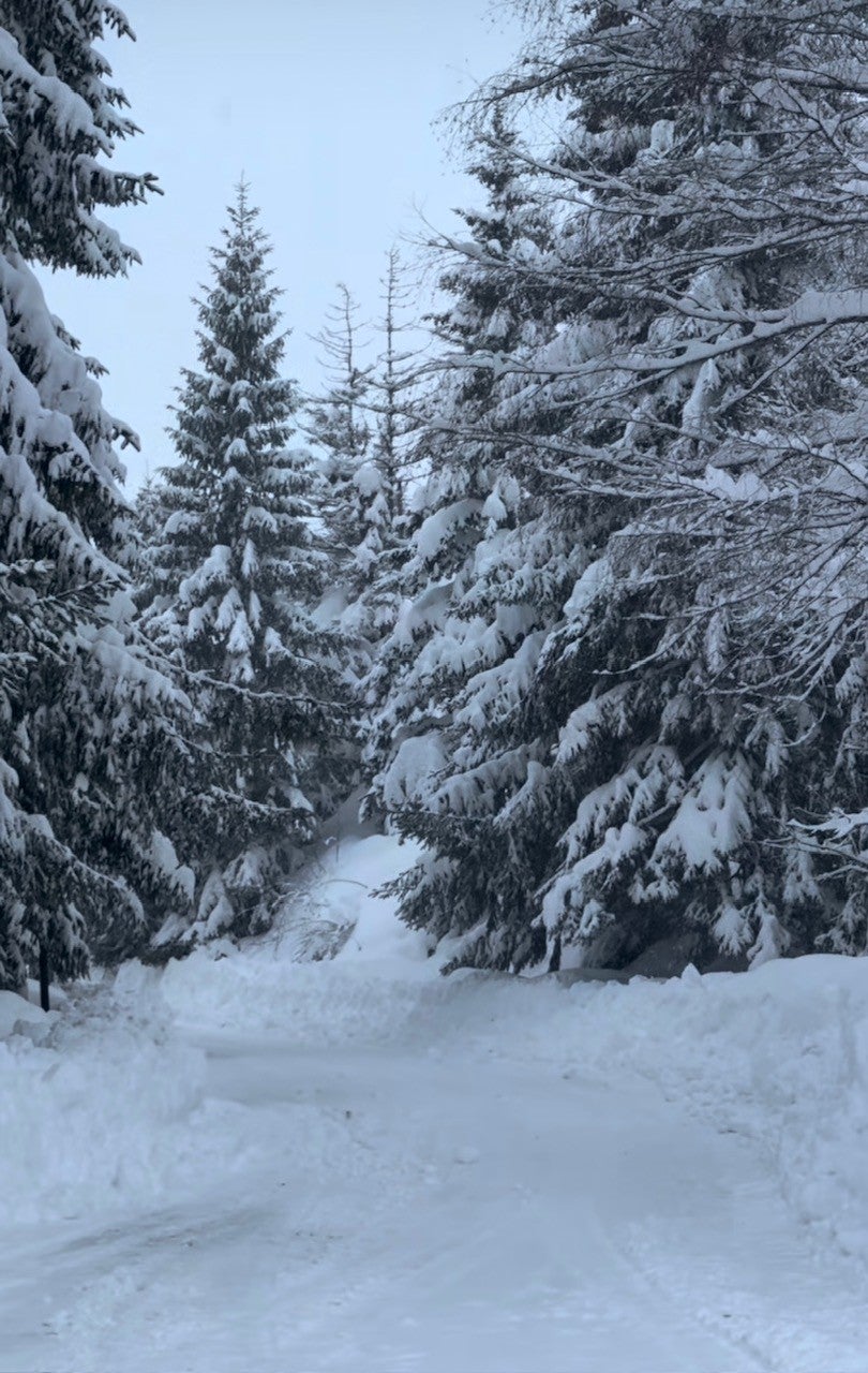 Las estaciones de esquí del Pirineo, en las mejores condiciones de los últimos años Las estaciones de esquí del Pirineo, en las mejores condiciones de los últimos años