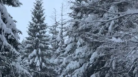 Las estaciones de esquí del Pirineo, en las mejores condiciones de los últimos años Las estaciones de esquí del Pirineo, en las mejores condiciones de los últimos años