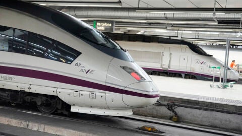 Imagen de archivo de trenes de alta velocidad parados en la estaci&oacute;n de Sats./ EFE/Alejandro Garc&iacute;a