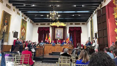 Pleno municipal del Ayuntamiento de Elche del mes de enero de 2026. Pleno municipal del Ayuntamiento de Elche del mes de enero de 2026.