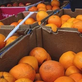 Naranjas Naranjas