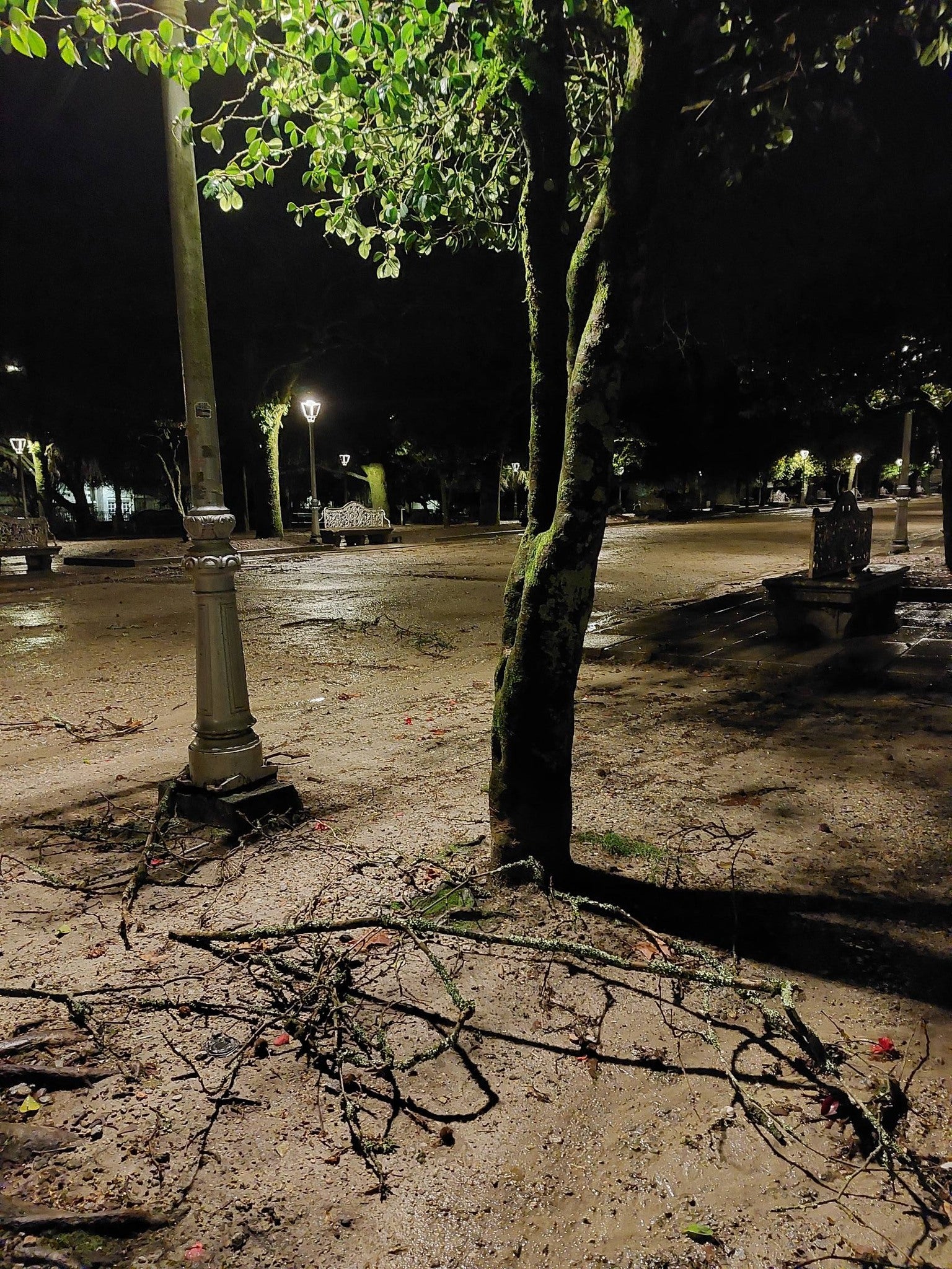 La borrasca 'Joseph' derriba árboles, muros y postes, y descuelga cables en Santiago La borrasca 'Joseph' derriba árboles, muros y postes, y descuelga cables en Santiago