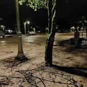 La borrasca 'Joseph' derriba árboles, muros y postes, y descuelga cables en Santiago La borrasca 'Joseph' derriba árboles, muros y postes, y descuelga cables en Santiago