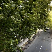 Cierre de parques y zonas verdes en Ciudad Real Cierre de parques y zonas verdes en Ciudad Real