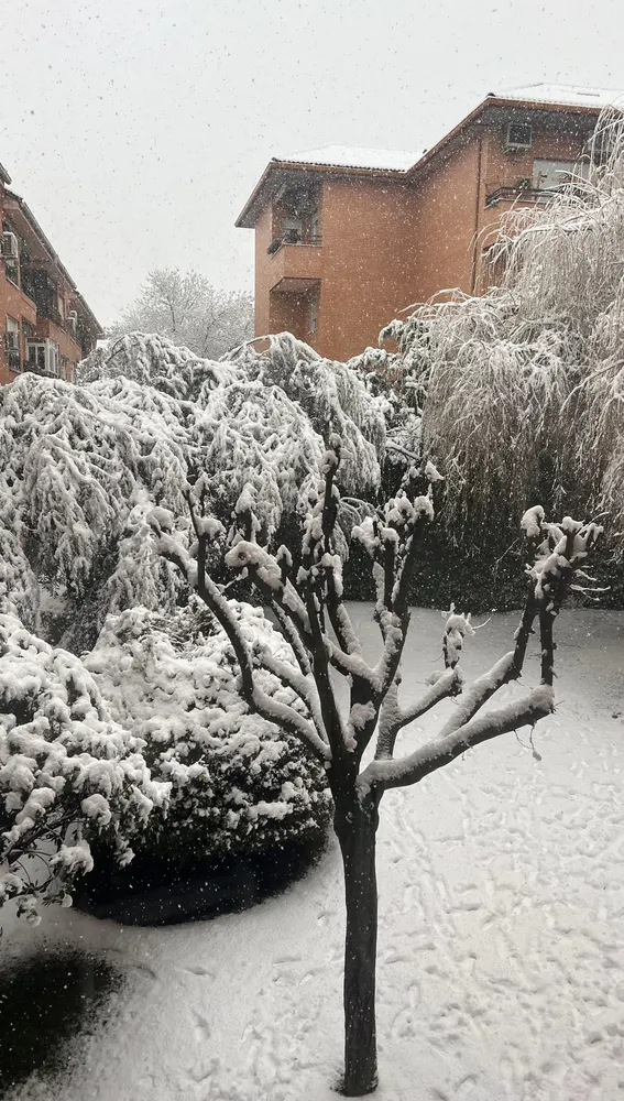 Nieve en Galapagar. Nieve en Galapagar.