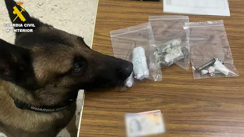 rastreo de drogas rastreo de drogas