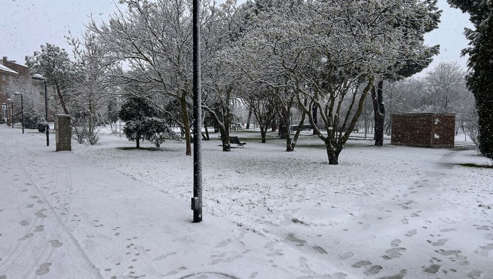 Nieve en un parque de San Sebastián de los Reyes (Madrid).
