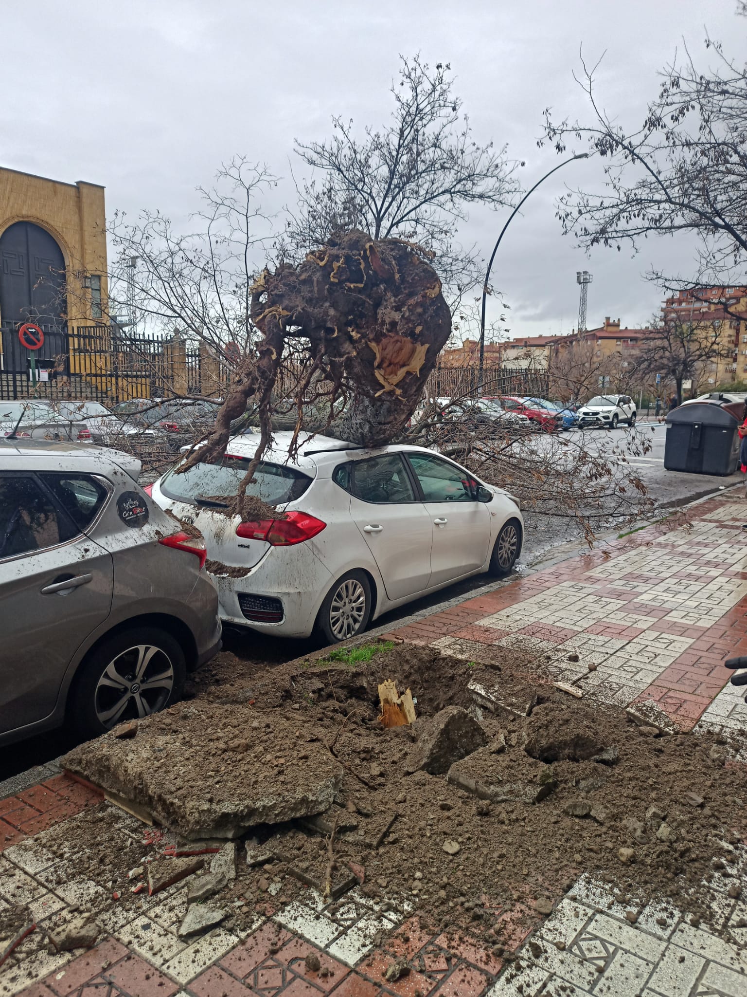 Granada activa bonificaciones fiscales de hasta el 95% para reparar daños por las borrascas de febrero Granada activa bonificaciones fiscales de hasta el 95% para reparar daños por las borrascas de febrero