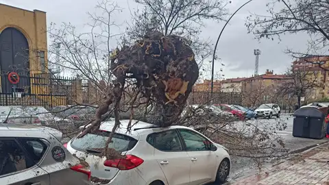 Temporal en Granada Temporal en Granada