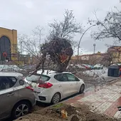 Temporal en Granada Temporal en Granada