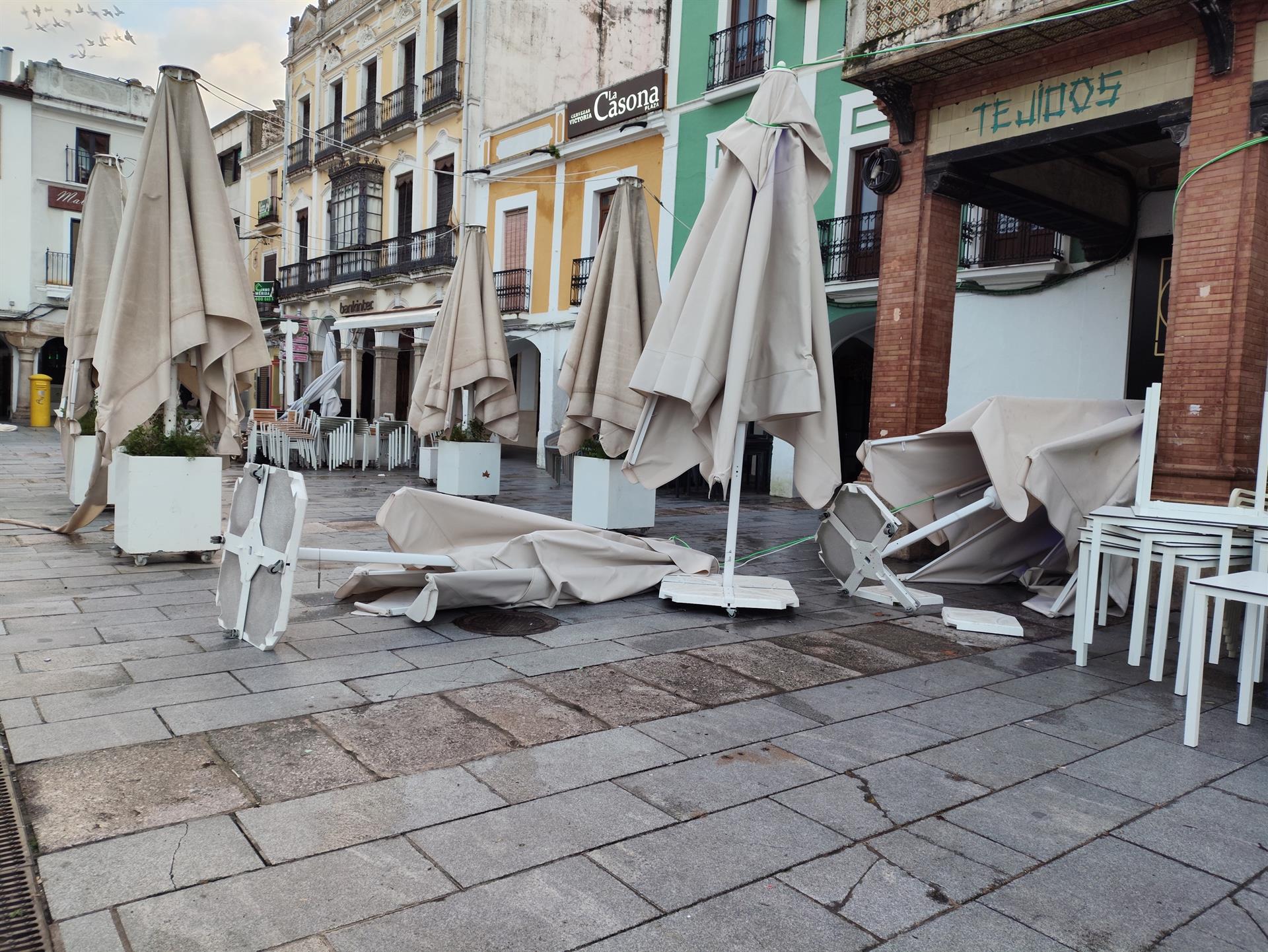 La Policía Local atiende 256 llamadas e incidentes ocasionados por el temporal La Policía Local atiende 256 llamadas e incidentes ocasionados por el temporal