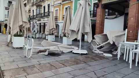 La Policía Local atiende 256 llamadas e incidentes ocasionados por el temporal La Policía Local atiende 256 llamadas e incidentes ocasionados por el temporal