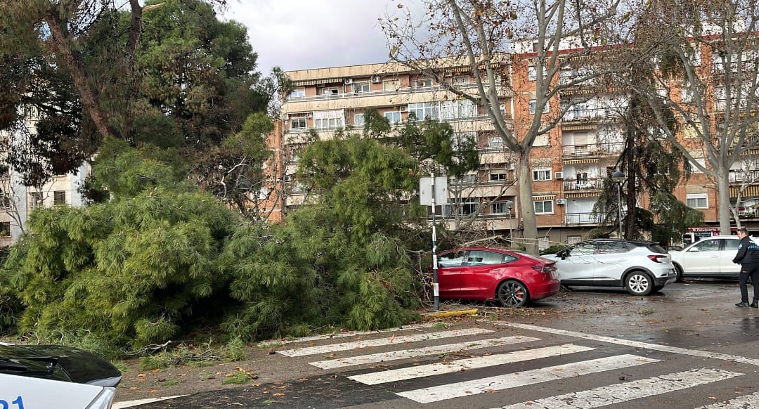 Ciudad Real activa el CECOPAL ante la alerta naranja por fuertes vientos Ciudad Real activa el CECOPAL ante la alerta naranja por fuertes vientos