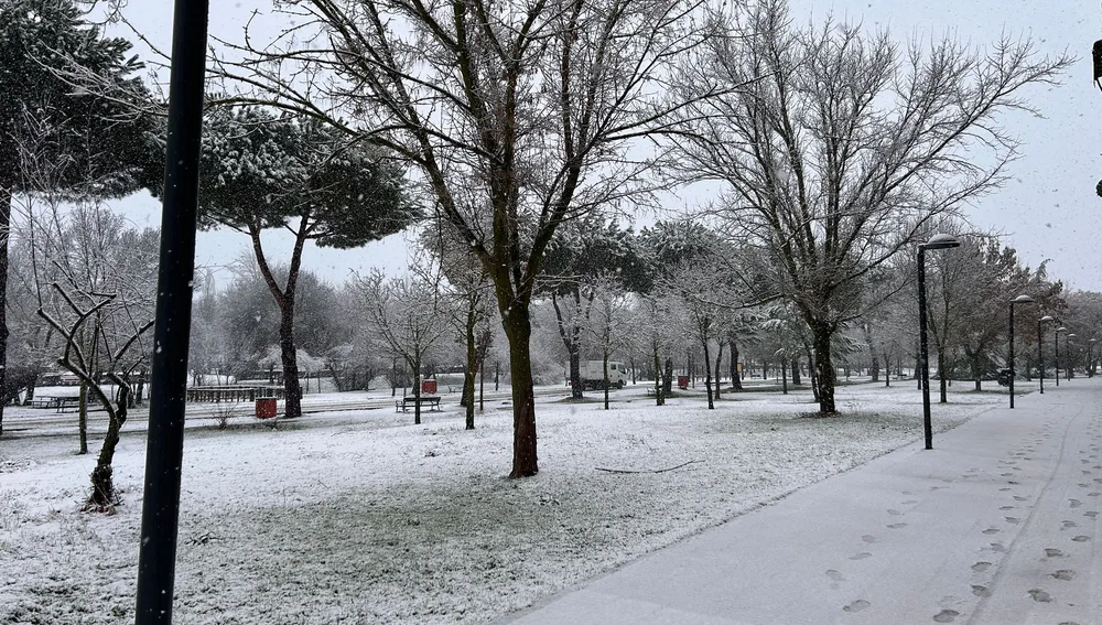Nieve en un parque en San Sebastián de los Reyes (Madrid). Nieve en un parque en San Sebastián de los Reyes (Madrid).