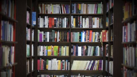 Biblioteca. Estanter&iacute;a llena de libros. 