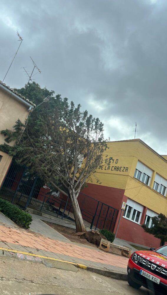 Las fuertes rachas de viento han desgajado ramas y arrancado árboles