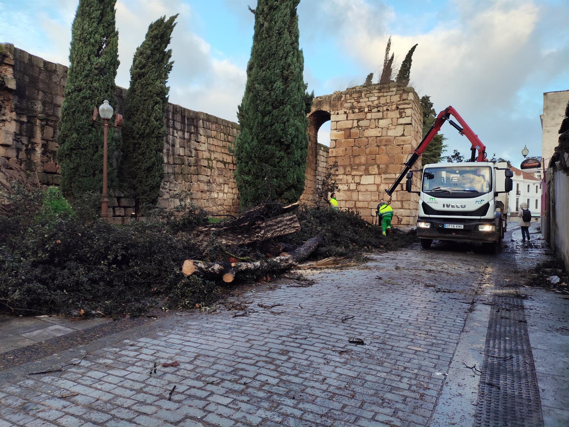 Más de 130 efectivos trabajan en Mérida para paliar los efectos de 'Kristin' Más de 130 efectivos trabajan en Mérida para paliar los efectos de 'Kristin'