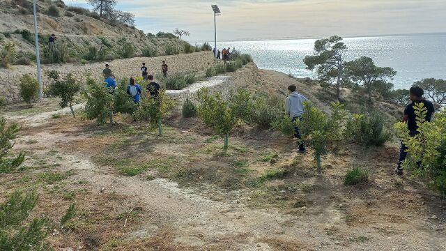 180 alumnos participan en una jornada de reforestación en la Malladeta de Villajoyosa por el Día del Árbol 180 alumnos participan en una jornada de reforestación en la Malladeta de Villajoyosa por el Día del Árbol