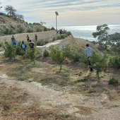 Día Arbol Malladeta Villajoyosa Día Arbol Malladeta Villajoyosa