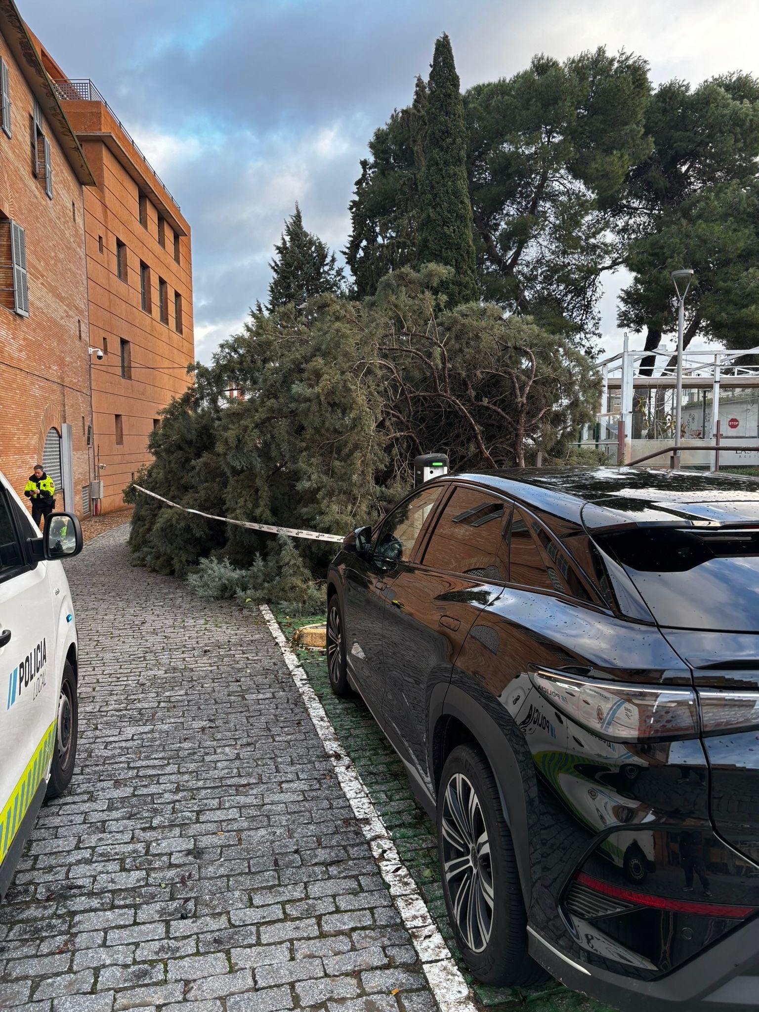 El Ayuntamiento activa una oficina de atención por incidencias del temporal desde la Jefatura de Policía Local El Ayuntamiento activa una oficina de atención por incidencias del temporal desde la Jefatura de Policía Local