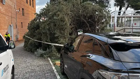 El Ayuntamiento activa una oficina de atención por incidencias del temporal desde la Jefatura de Policía Local El Ayuntamiento activa una oficina de atención por incidencias del temporal desde la Jefatura de Policía Local