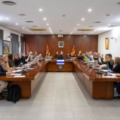 Pleno enero Alfaz del Pi