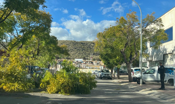 AEMET activa la alerta naranja por viento y fenómenos costeros para mañana sábado en La Marina Baixa AEMET activa la alerta naranja por viento y fenómenos costeros para mañana sábado en La Marina Baixa