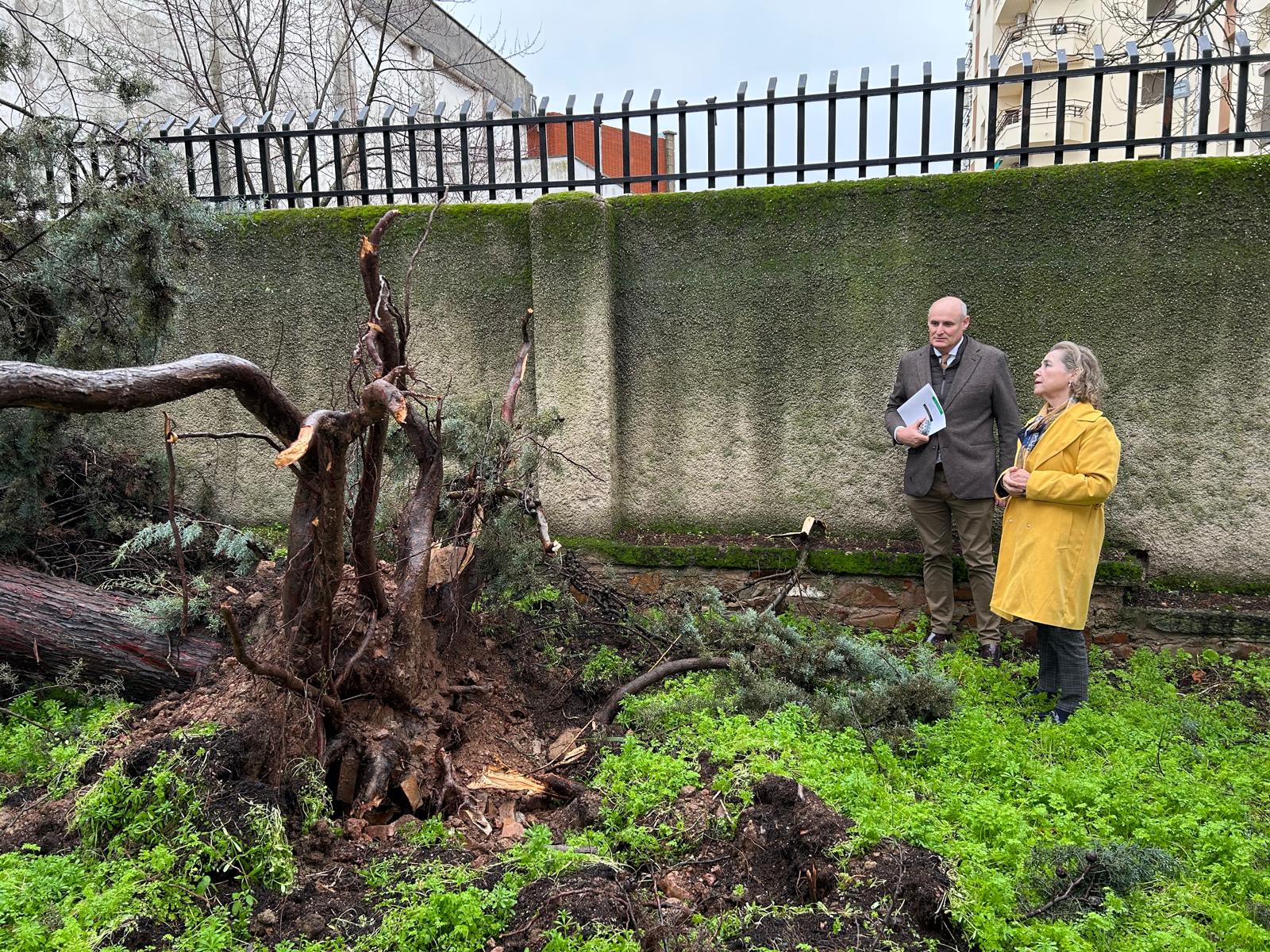 Educación informa de que se han detectado 24 incidencias reseñables en los centros educativos extremeños tras el paso de Kristin Educación informa de que se han detectado 24 incidencias reseñables en los centros educativos extremeños tras el paso de Kristin