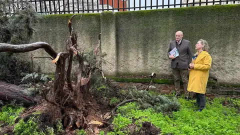 Educación informa de que se han detectado 24 incidencias reseñables en los centros educativos extremeños tras el paso de Kristin Educación informa de que se han detectado 24 incidencias reseñables en los centros educativos extremeños tras el paso de Kristin