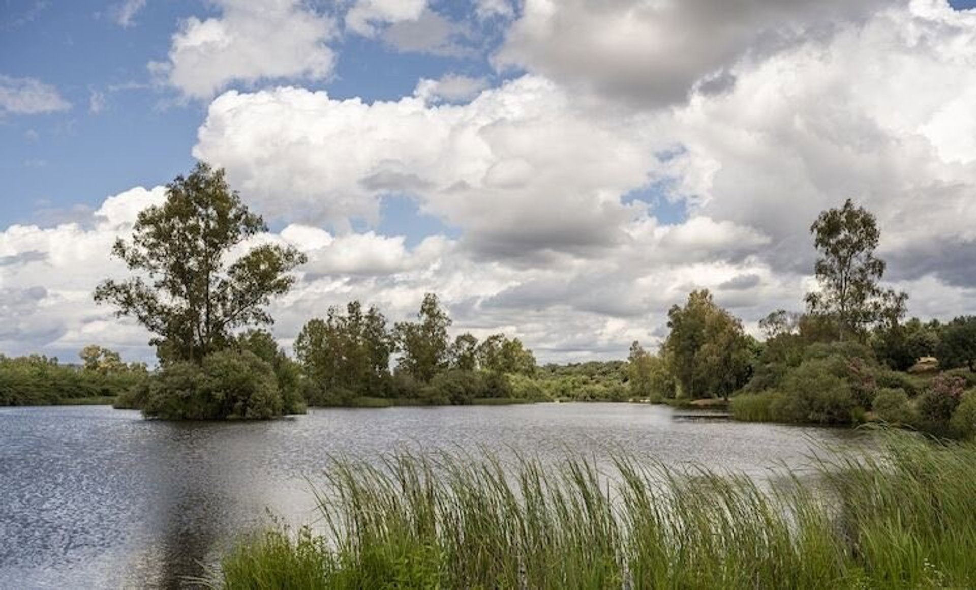 La CHG retira residuos y materiales contaminantes en más de 140 puntos del dominio público hidráulico de la cuenca La CHG retira residuos y materiales contaminantes en más de 140 puntos del dominio público hidráulico de la cuenca