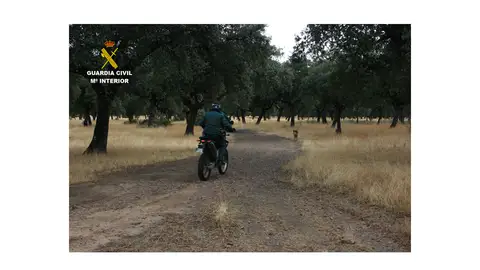 Un agente del SEPRONA de la Guardia Civil Un agente del SEPRONA de la Guardia Civil