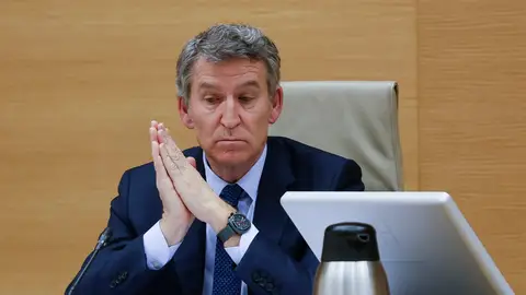El líder del PP, Alberto Núñez Feijóo, durante su comparecencia en la comisión. El líder del PP, Alberto Núñez Feijóo, durante su comparecencia en la comisión.