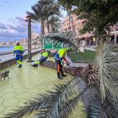 Temporal Benidorm 