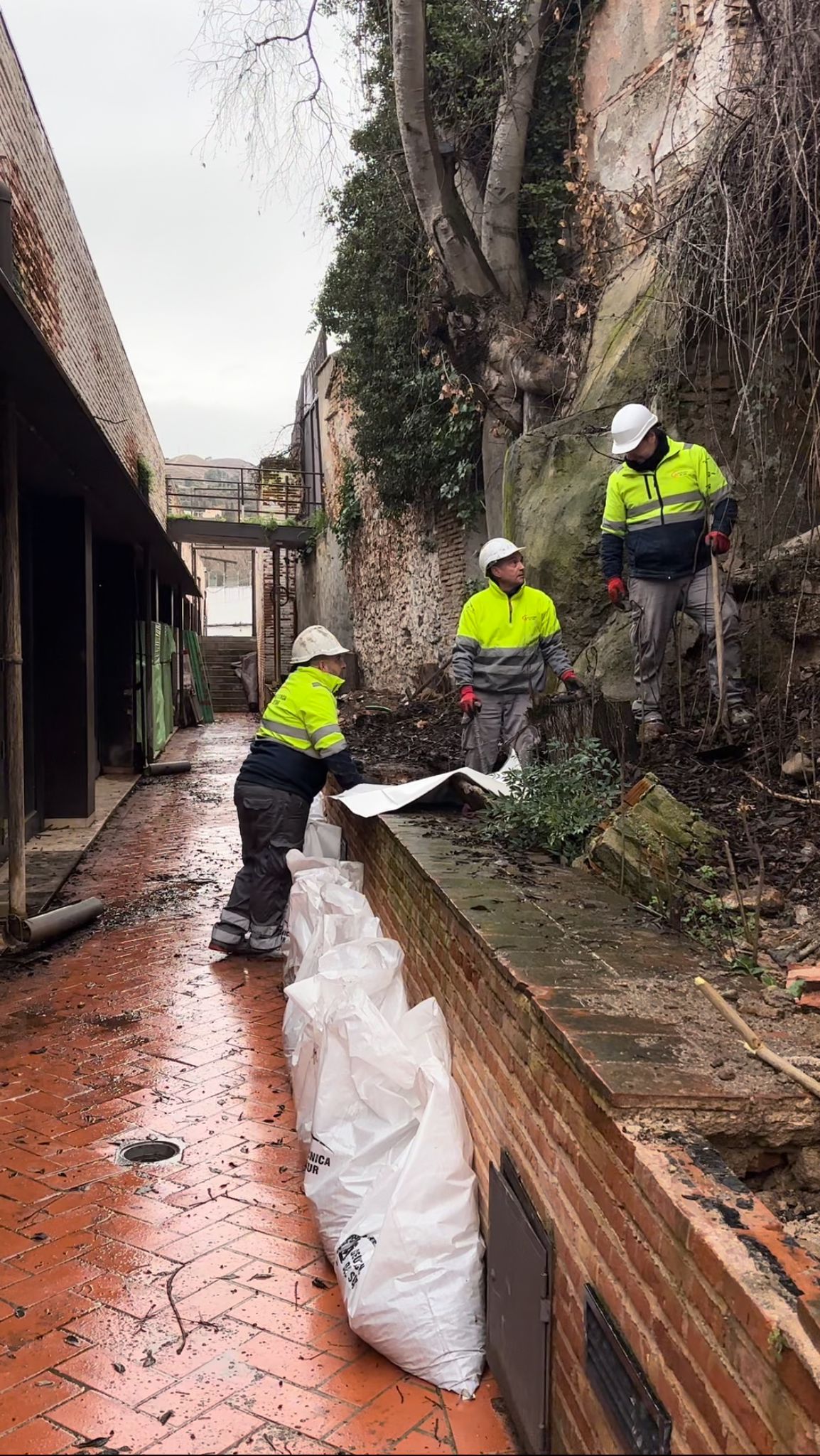 El Ayuntamiento inicia una intervención de emergencia para asegurar la estabilidad del entorno del Rey Chico El Ayuntamiento inicia una intervención de emergencia para asegurar la estabilidad del entorno del Rey Chico