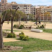 Arboles parque Foietes Benidorm
