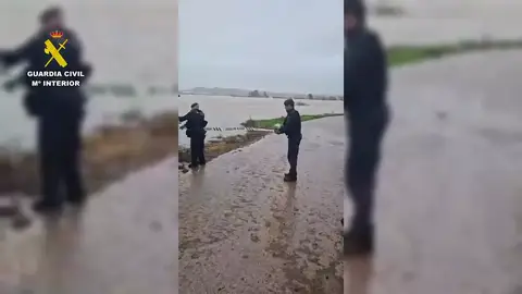 Corte de acceso en las proximidades del río Guadalete, en Jerez Corte de acceso en las proximidades del río Guadalete, en Jerez