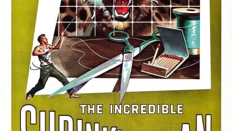 L'incre&iuml;ble home minvant