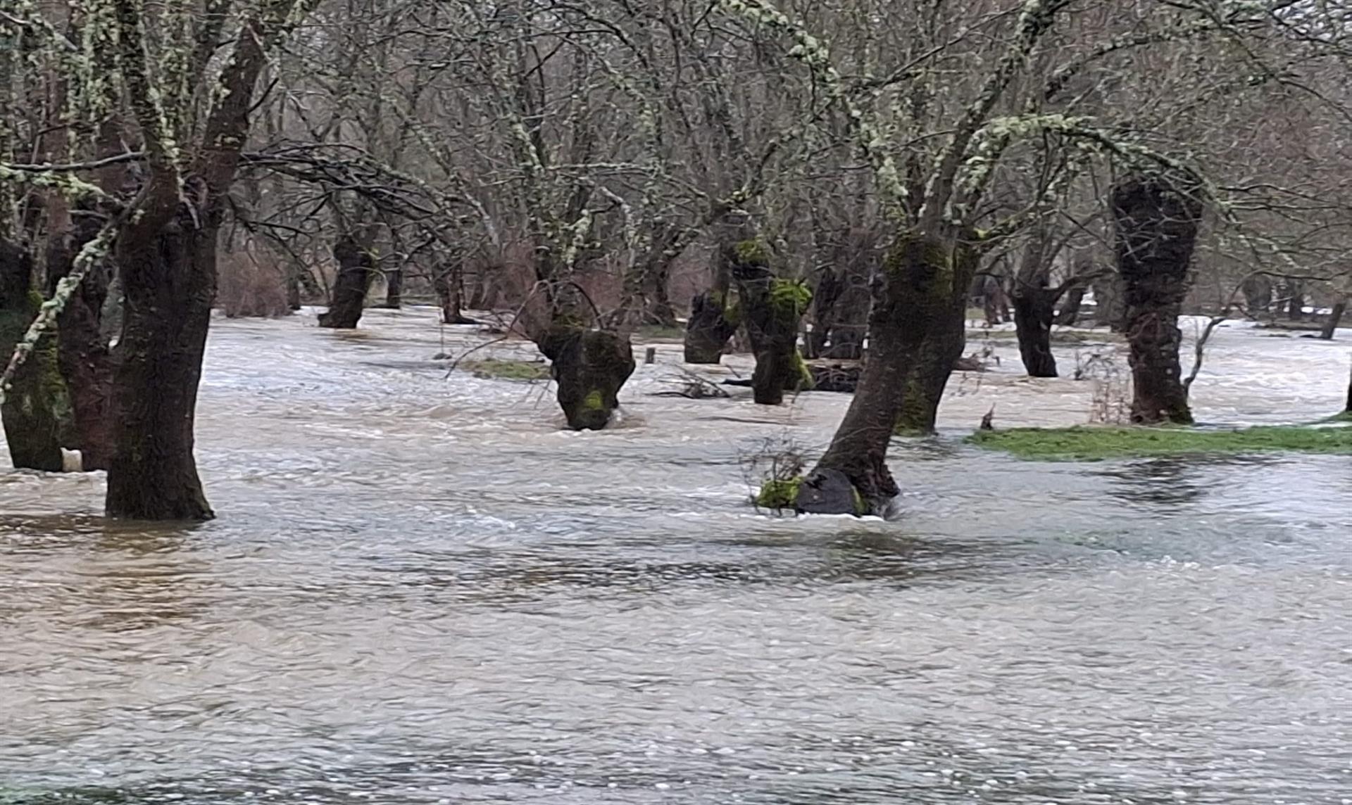 Tranquilidad en la comarca de Cabañeros pese al desbordamiento del Bullaque a su paso Retuerta Tranquilidad en la comarca de Cabañeros pese al desbordamiento del Bullaque a su paso Retuerta