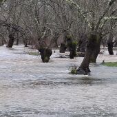 Desbordamiento del río Guadiana en el término municipal de Retuerta del Bullaque