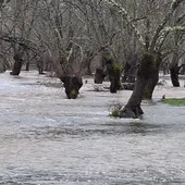 Desbordamiento del río Guadiana en el término municipal de Retuerta del Bullaque Desbordamiento del río Guadiana en el término municipal de Retuerta del Bullaque