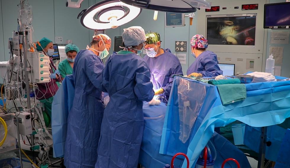 La Fe realiza por primera vez en España diez trasplantes en solo 24 horas La Fe realiza por primera vez en España diez trasplantes en solo 24 horas